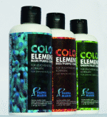Fauna Marin Color Colour Elements
